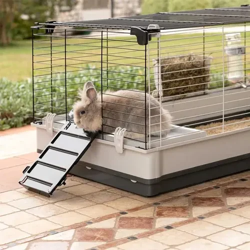 Rabbit Cage